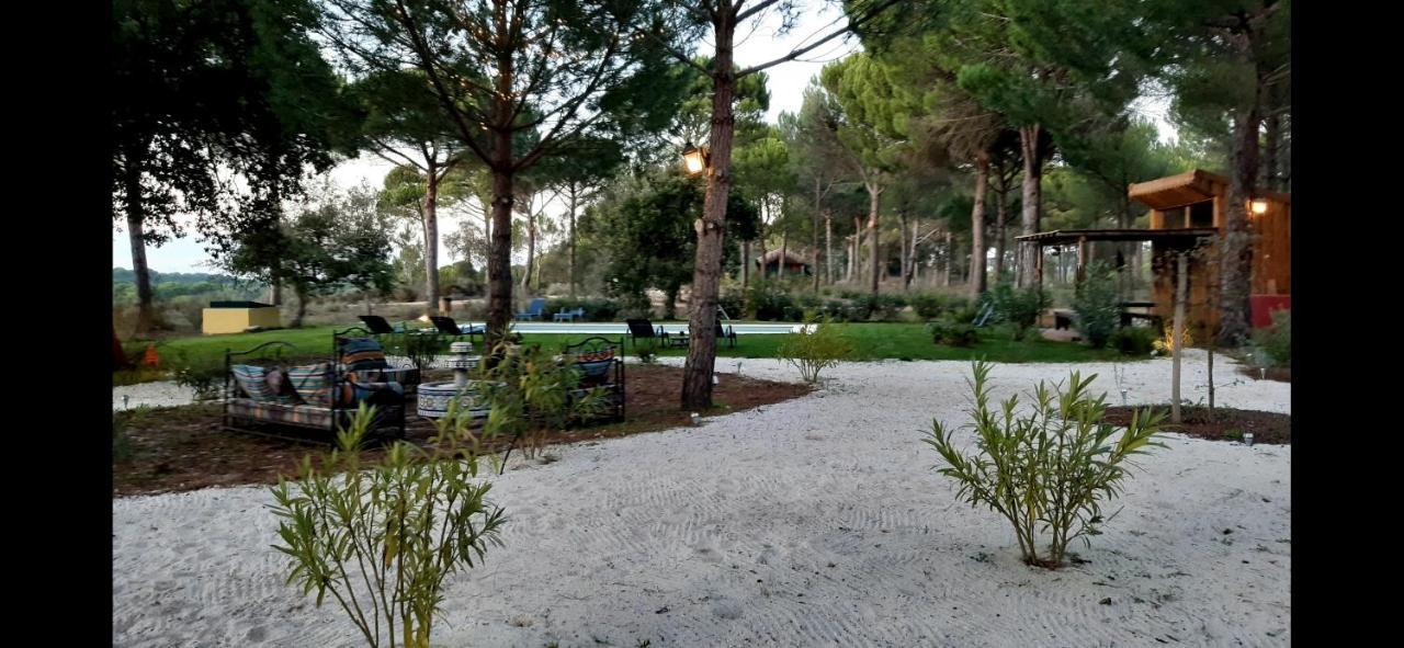 Ying Yang Monte Da Lua Villa Comporta Dış mekan fotoğraf