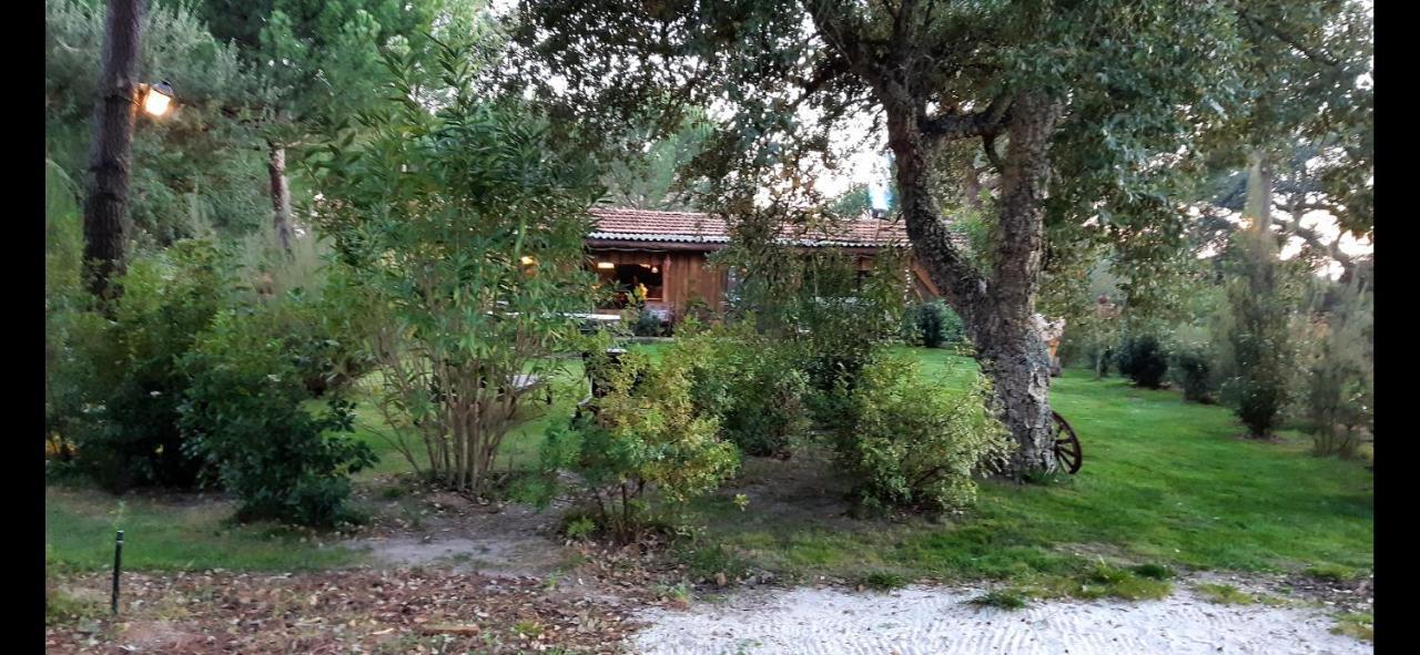 Ying Yang Monte Da Lua Villa Comporta Dış mekan fotoğraf
