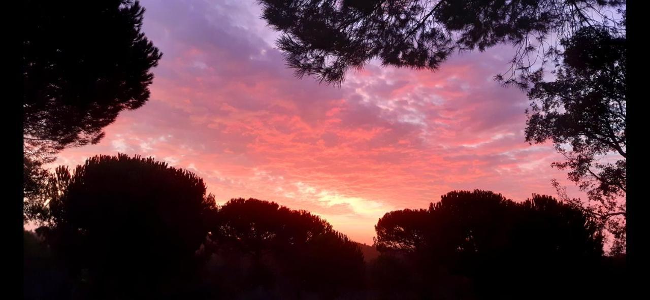 Ying Yang Monte Da Lua Villa Comporta Dış mekan fotoğraf