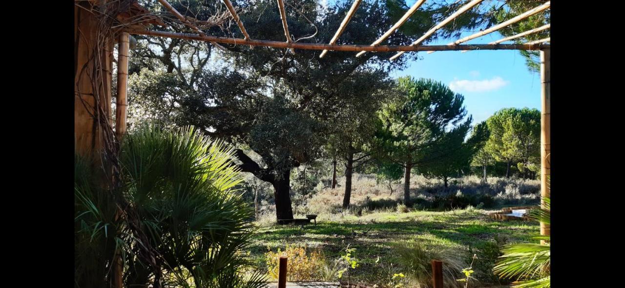 Ying Yang Monte Da Lua Villa Comporta Dış mekan fotoğraf