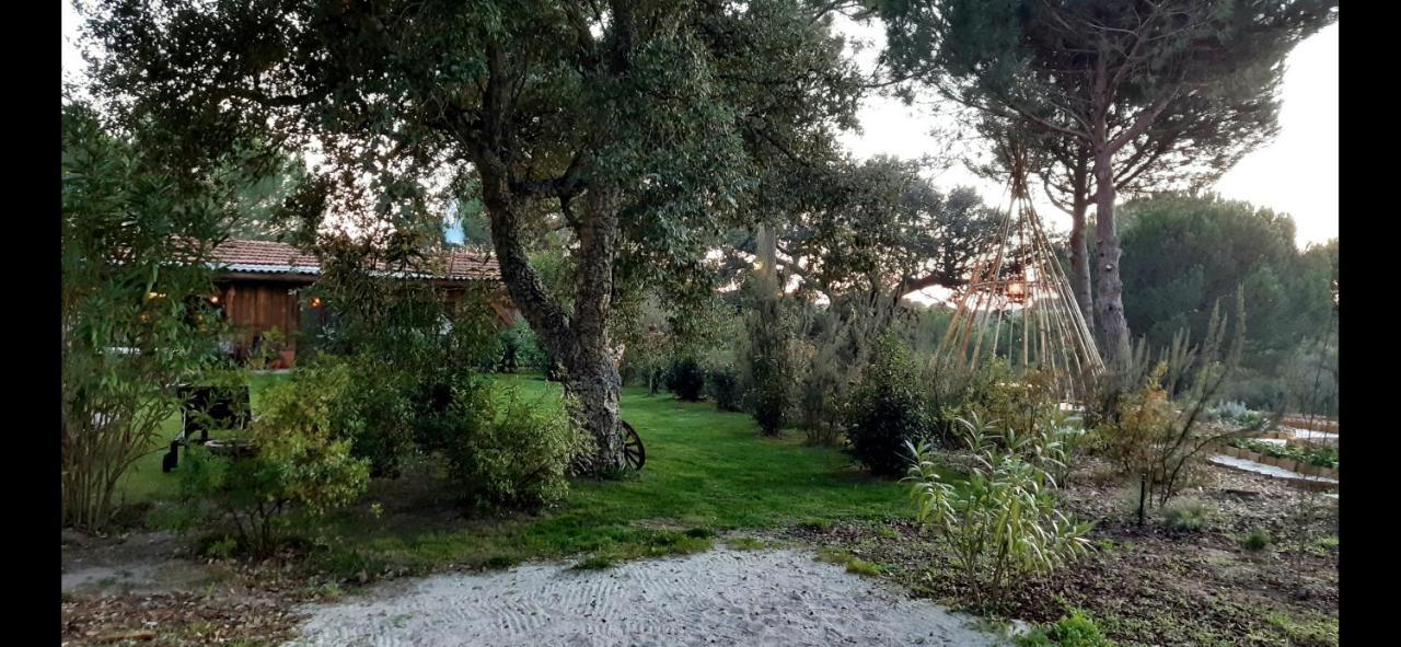 Ying Yang Monte Da Lua Villa Comporta Dış mekan fotoğraf