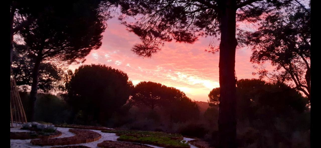 Ying Yang Monte Da Lua Villa Comporta Dış mekan fotoğraf